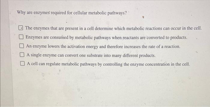 Why Are Enzymes Required For Cellular Metabolic Pathways The Enzymes That Are Present In A Cell Determine Which Metabol 1