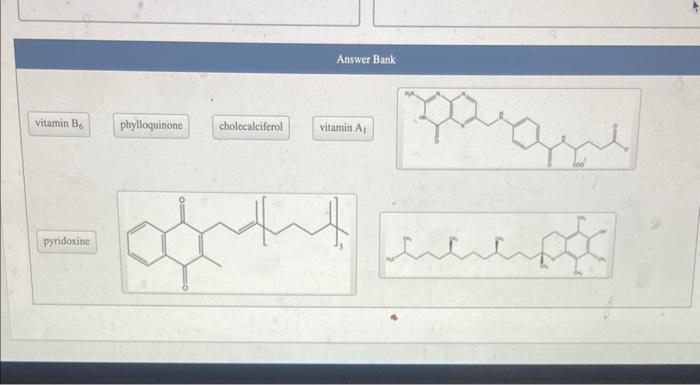 Stion 22 Of 26 Water Soluble Or Fat Soluble Vitamins Classify The Vitamins Ast Water Soluble Answer Bank Fat Soluble V 2