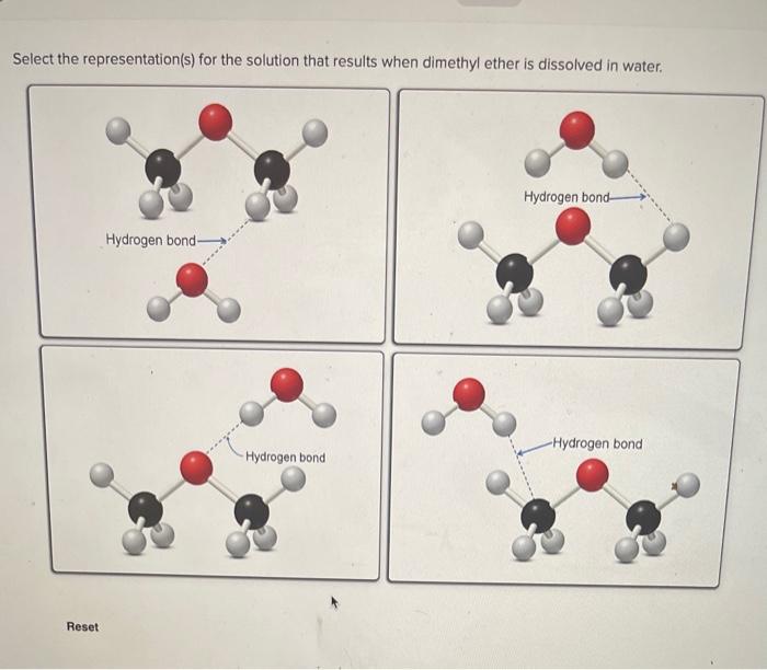 Select The Representation S For The Solution That Results When Dimethyl Ether Is Dissolved In Water Reset Hydrogen Bon 1