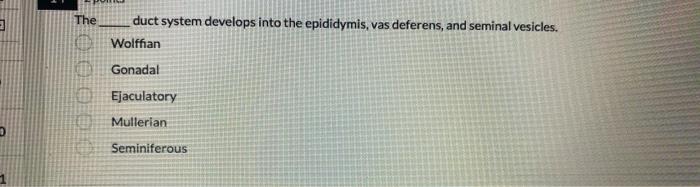 Which Of The Following Is True About The Corpus Callosum A Thicker Corpus Callosum Allows For A More Lateralized Brain 2