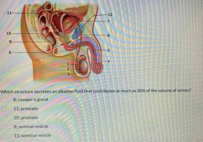 Focused Stimulation Of The Grafenberg Spot Is A Fool Proof Method For Initiating Sexual Desire During Foreplay And Incre 3