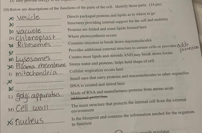 D They 10 Below Are Descriptions Of The Functions Of The Parts Of The Cell Identify Those Parts 14 Pts Vesicle D 1
