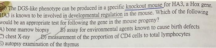 58 The Dgs Like Phenotype Can Be Produced In A Specific Knockout Mouse For Ha3 A Hox Gene Ha3 Is Known To Be Involved 1