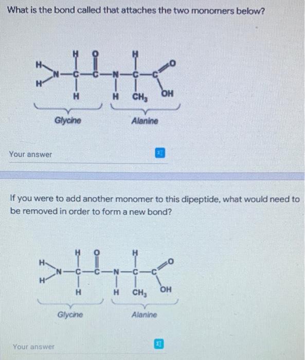 What Is The Bond Called That Attaches The Two Monomers Below Tk K C C H H Ch Oh H Your Answer Glycine If You Were 1