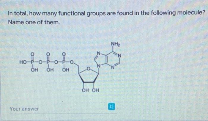 In Total How Many Functional Groups Are Found In The Following Molecule Name One Of Them Fofof Oh Oh Oh Ho Your Answe 1