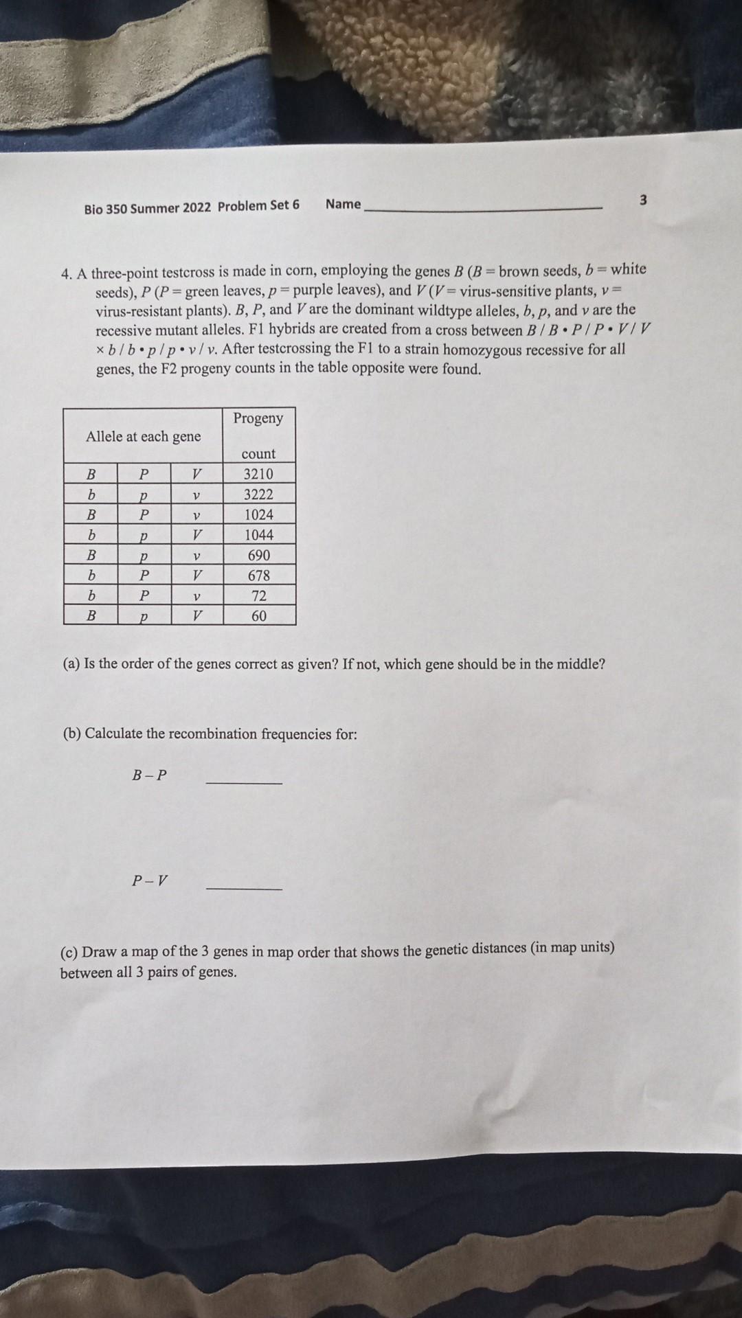 Bio 350 Summer 2022 Problem Set 6 Allele At Each Gene 4 A Three Point Testcross Is Made In Corn Employing The Genes B 1