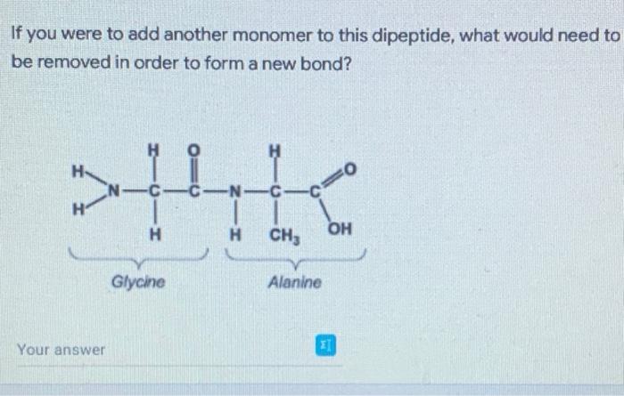 What Is The Bond Called That Attaches The Two Monomers Below Your Answer C C H Glycine N Cicio H Ch3 Alanine Oh If Y 2