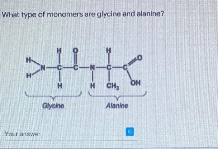 What Is The Bond Called That Attaches The Two Monomers Below Your Answer C C H Glycine N Cicio H Ch3 Alanine Oh If Y 3