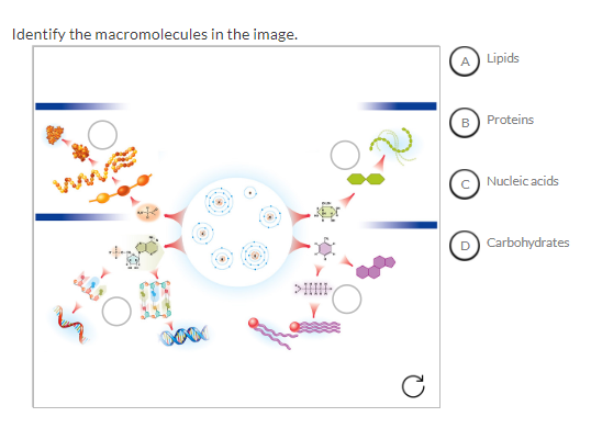 Pls Help With This Bio Task 1