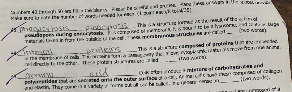 Numbers 43 Through 50 Are Fill In The Blanks Please Be Careful And Precise Place These Answers In The Spaces Provide M 1