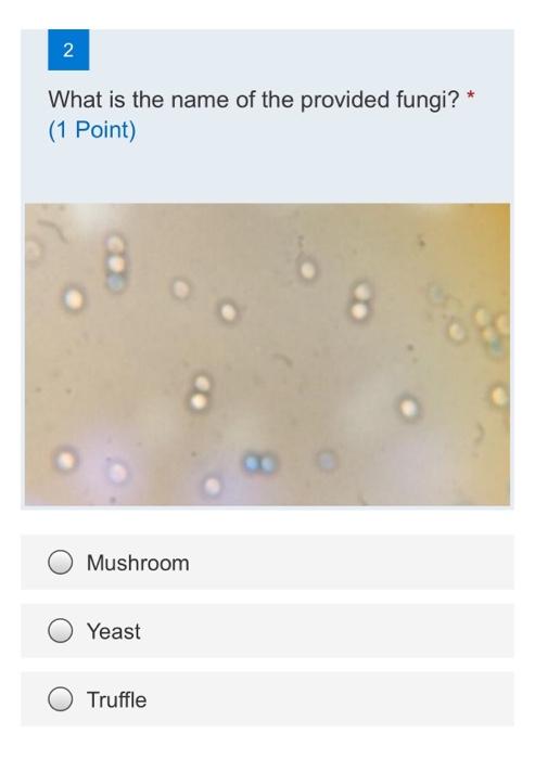 2 What Is The Name Of The Provided Fungi 1 Point Mushroom Yeast Truffle 80 1