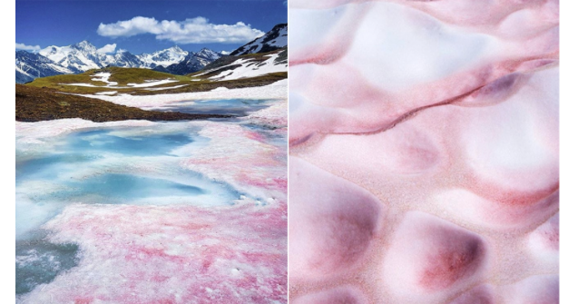 Snow Ice Albedo Is One Of The Many Components Of A Process That Seeks To Understand Differentials Between Sunlight Energ 1