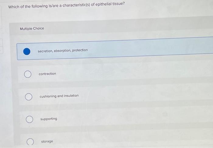 Which Of The Following Is Are A Characteristic S Of Epithelial Tissue Multiple Choice Secretion Absorption Protectio 1