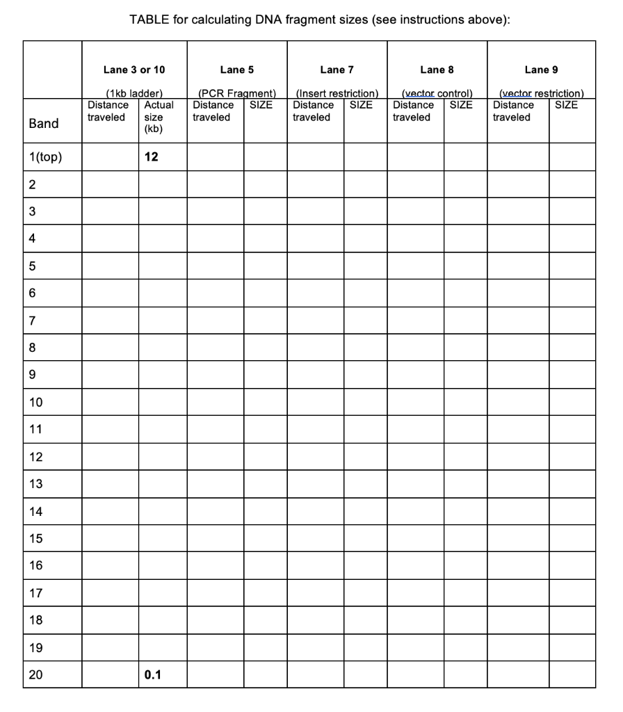 Need Help With Filling In The Chart And Graph Please Help Use Log Linear Graph Paper To Calculate The Size Of Each Ban 1
