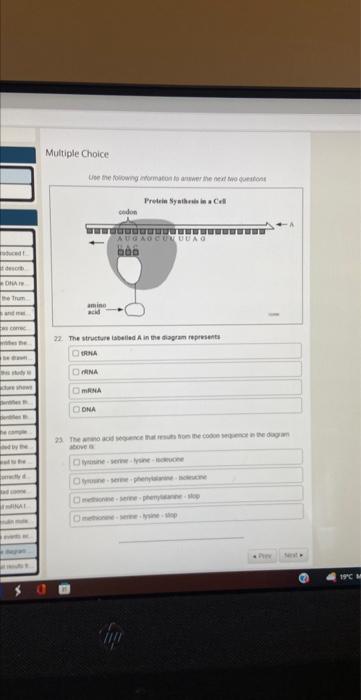 Desorb Ona Comec Esthe Deshow Ele He Comple By The Lyd Ad Con Inal M Multiple Choice Use The Following Information To An 1