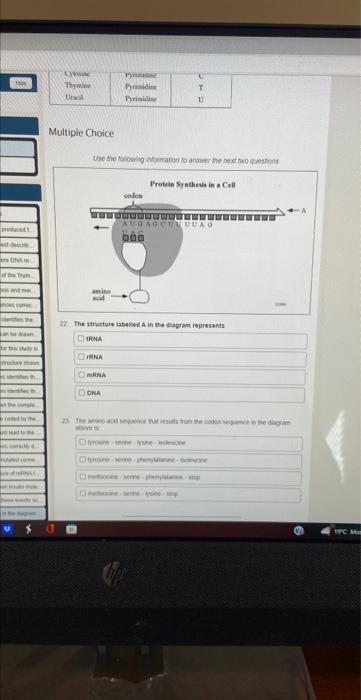 Desorb Ona Comec Esthe Deshow Ele He Comple By The Lyd Ad Con Inal M Multiple Choice Use The Following Information To An 2