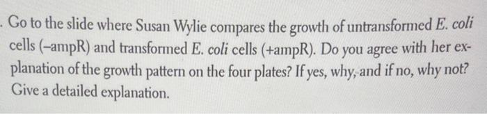 Go To The Slide Where Susan Wylie Compares The Growth Of Untransformed E Coli Cells Ampr And Transformed E Coli Cel 1