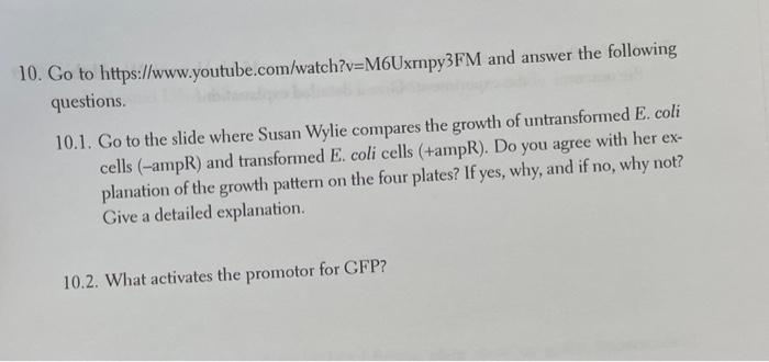 Go To The Slide Where Susan Wylie Compares The Growth Of Untransformed E Coli Cells Ampr And Transformed E Coli Cel 2