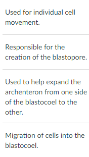 Match The Term With The Function Terms 1