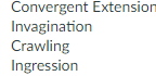 Match The Term With The Function Terms 2