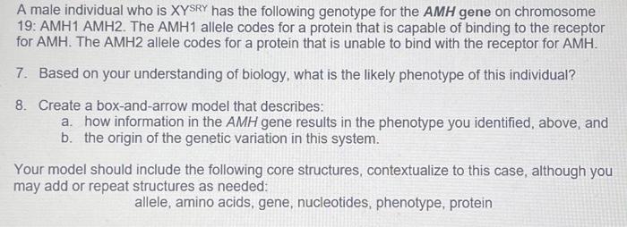A Male Individual Who Is Xysry Has The Following Genotype For The Amh Gene On Chromosome 19 Amh1 Amh2 The Amh1 Allele 1