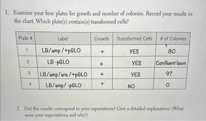 1 Examine Your Four Plates For Growth And Number Of Colonies Record Your Results In The Chart Which Plate S Contain 1