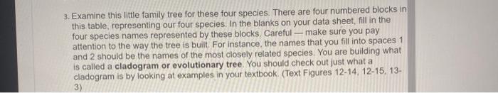 3 Examine This Little Family Tree For These Four Species There Are Four Numbered Blocks In This Table Representing Ou 1