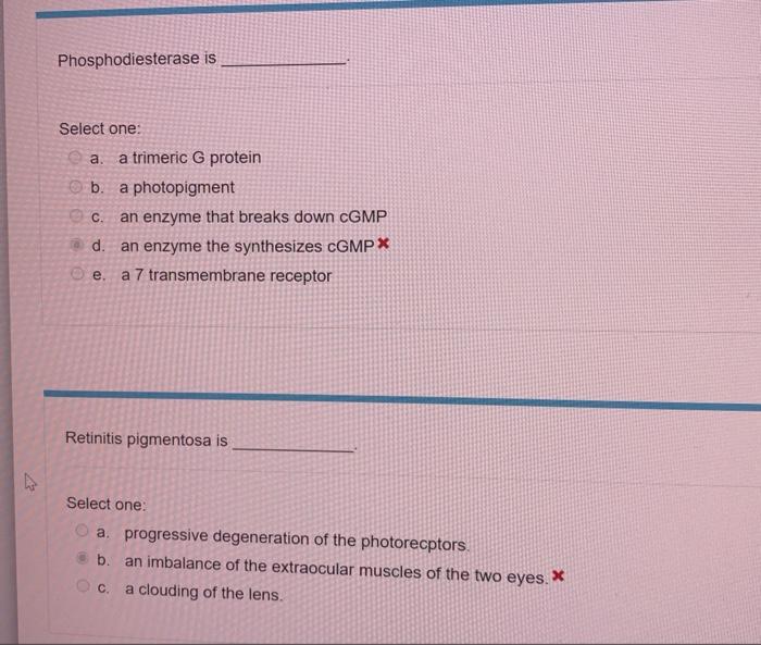 H Phosphodiesterase Is Select One A Trimeric G Protein A B A Photopigment C An Enzyme That Breaks Down Cgmp D An En 1
