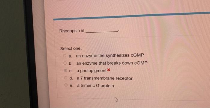 H Phosphodiesterase Is Select One A Trimeric G Protein A B A Photopigment C An Enzyme That Breaks Down Cgmp D An En 2