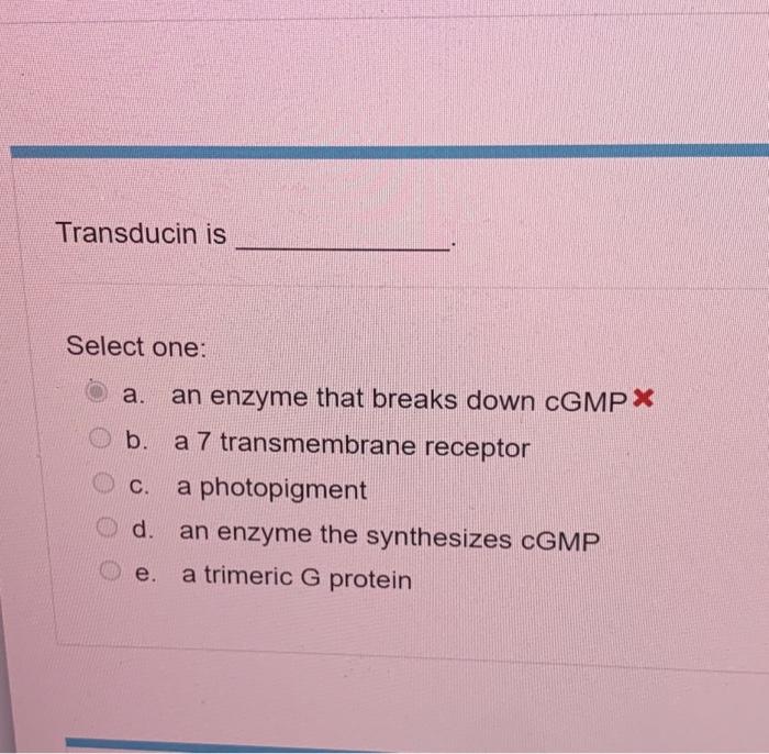 H Phosphodiesterase Is Select One A Trimeric G Protein A B A Photopigment C An Enzyme That Breaks Down Cgmp D An En 3