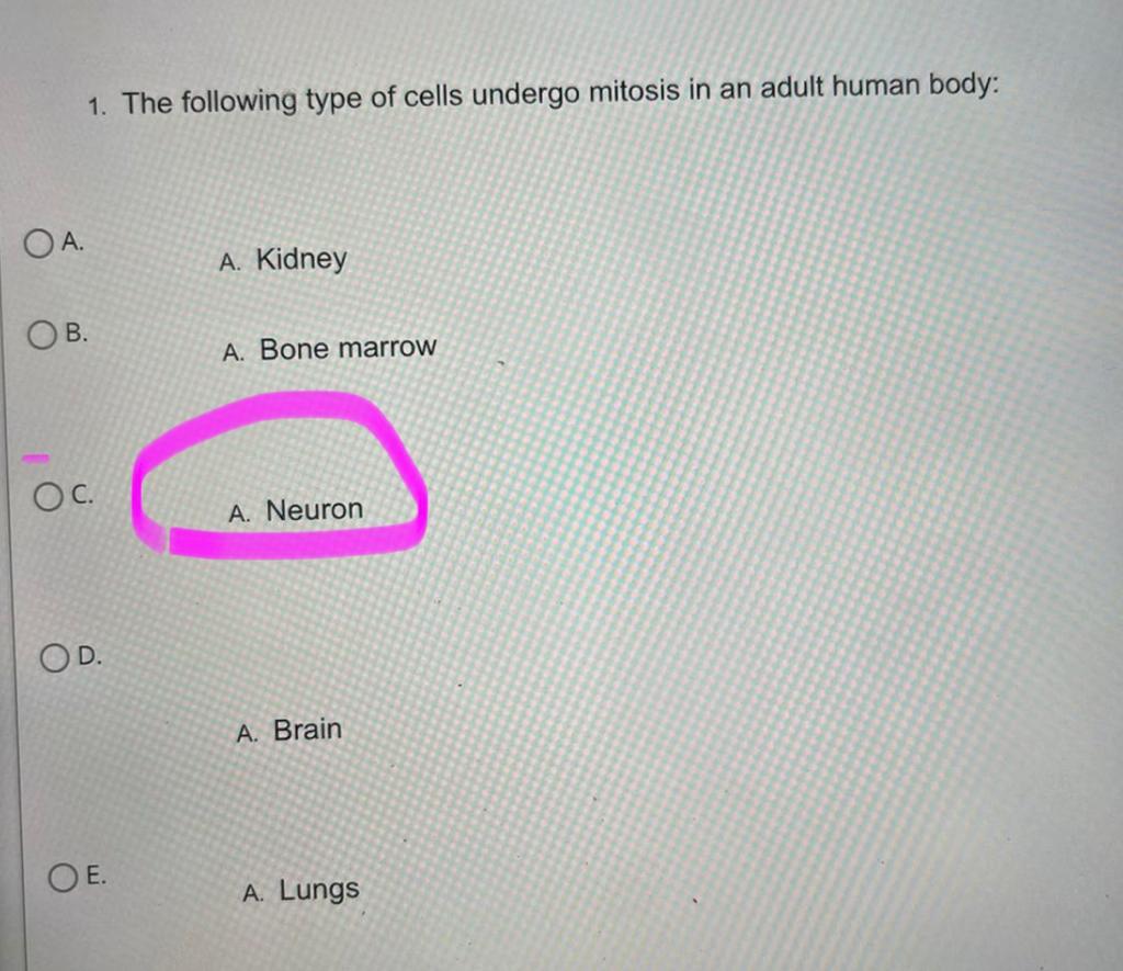 Hey Can You Check Over My Answers Can You Correct The Ones That Are Wrong 1