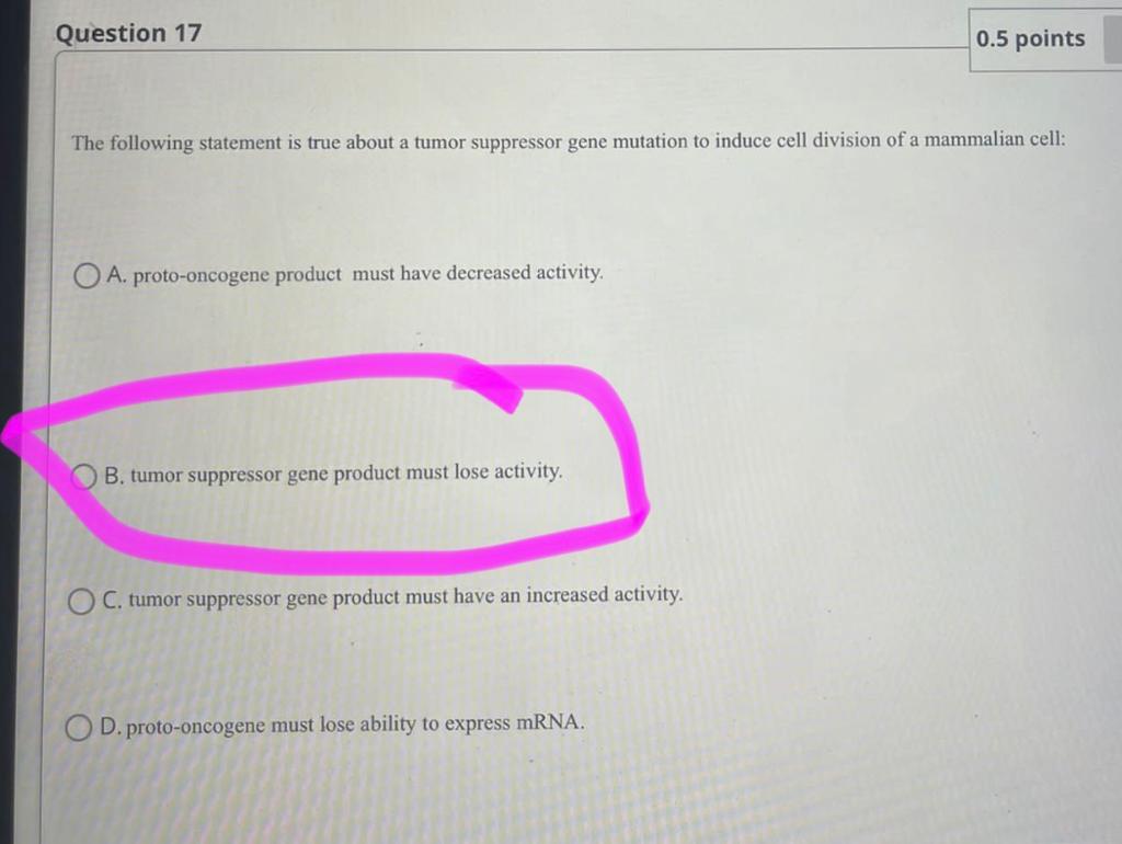 Hey Can You Check Over My Answers Can You Correct The Ones That Are Wrong 1
