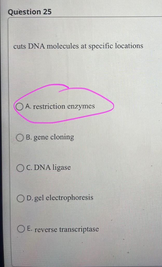 Hey Can You Check Over My Answers Can You Correct The Ones That Are Wrong 1