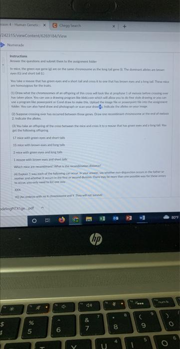 Son 4 Human Genetic X C Chegg Searth 242315 Viewcontent 6269154 View Numerade Instructions Awer The Question And Submit 1
