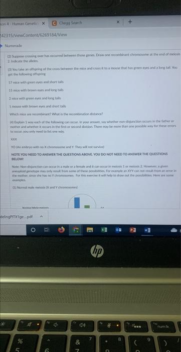 Son 4 Human Genetic X C Chegg Searth 242315 Viewcontent 6269154 View Numerade Instructions Awer The Question And Submit 2