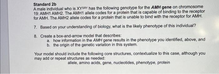 Standard 2b A Male Individual Who Is Xysry Has The Following Genotype For The Amh Gene On Chromosome 19 Amh1 Amh2 The 1
