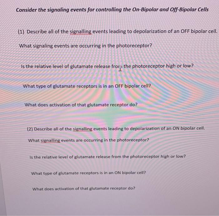Consider The Signaling Events For Controlling The On Bipolar And Off Bipolar Cells 1 Describe All Of The Signalling Ev 1