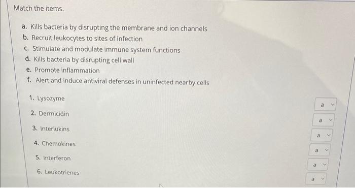 Match The Items A Kills Bacteria By Disrupting The Membrane And Ion Channels B Recruit Leukocytes To Sites Of Infecti 1