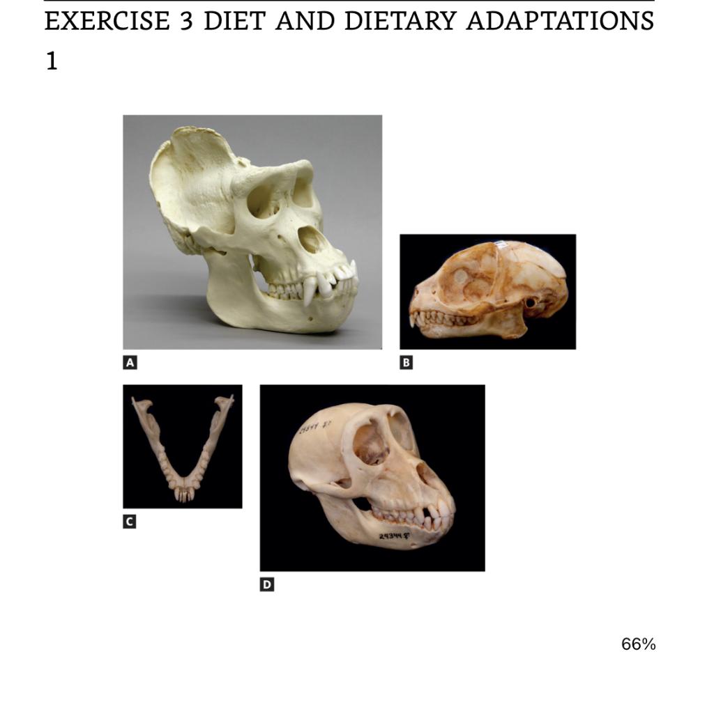 Exercise 3 Diet And Dietary Adaptations 1 Refer To The Mystery Primates Dentitions Provided By Your Instructor Or The P 1