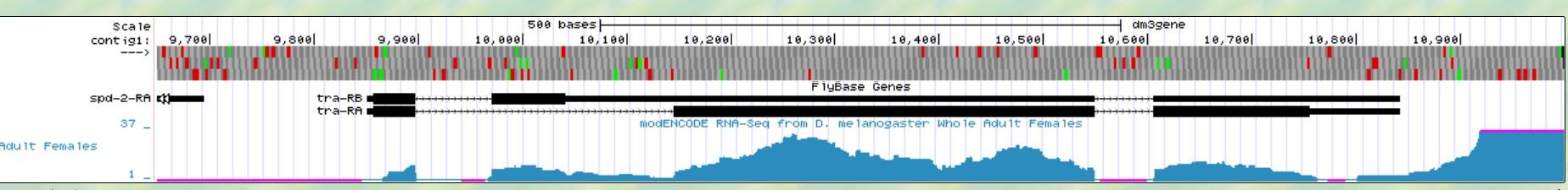 Since The Blue Indicate The Number Of Sequenced Rna Samples What Does The Purple Bars Indicate In The View 1
