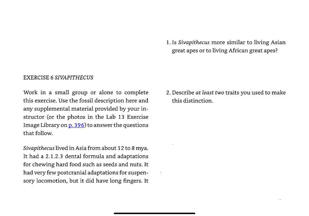 Exercise 6 Sivapithecus Hint Exercise 06 Sivapithecus Refer To Pg 396 To Answer The Questions Question 2 Describe On 1