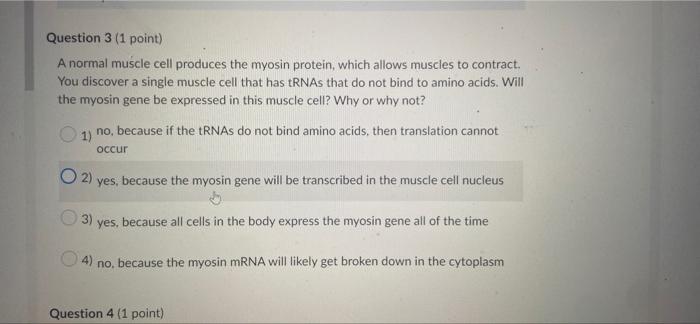 Question 3 1 Point A Normal Muscle Cell Produces The Myosin Protein Which Allows Muscles To Contract You Discover A 1
