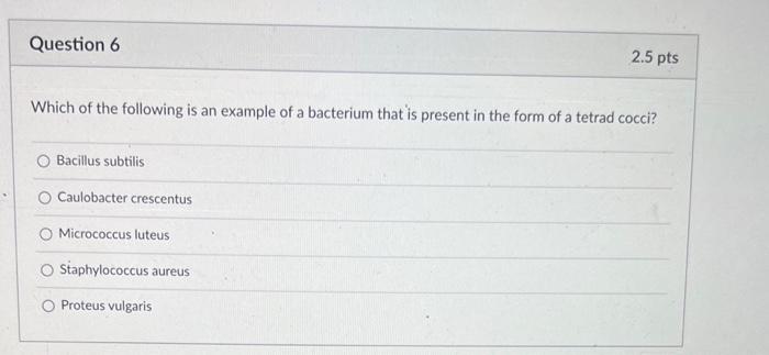 D Question 4 What Is A Bacterium That Has Two Bundles Of Flagella At Opposite Poles Called O Amphitrichous Monotrichous 2