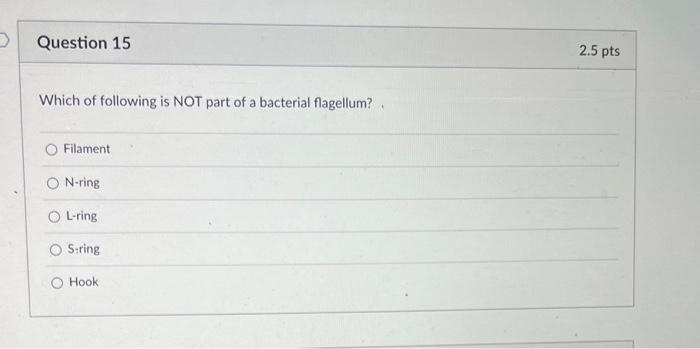 Question 13 Where Would You Not Normally Find Bacteria Among The Following Your Hand Your Blood O Your Hair Your Shoe 2