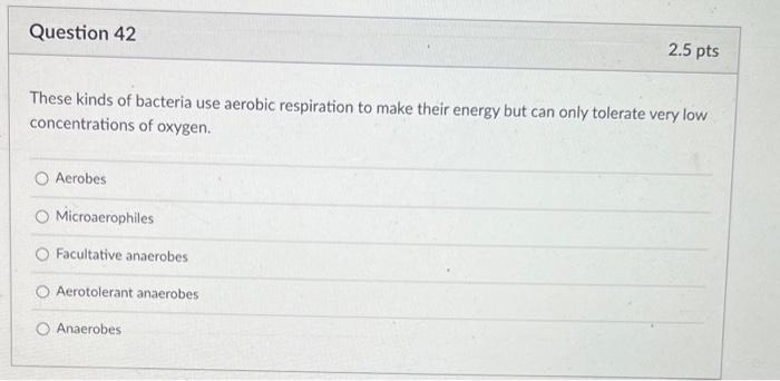 Question 40 Gram S Iodine Is Added To The Gram Stain Procedure For What Reason O It Decolorizes The Gram Positive Bacte 2