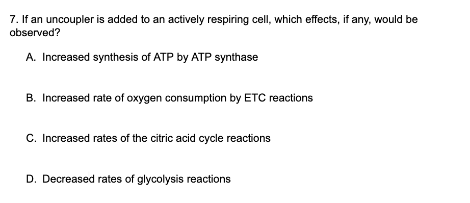 7 If An Uncoupler Is Added To An Actively Respiring Cell Which Effects If Any Would Be Observed A Increased Synthe 1
