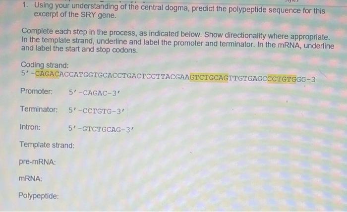 1 Using Your Understanding Of The Central Dogma Predict The Polypeptide Sequence For This Excerpt Of The Sry Gene Com 1