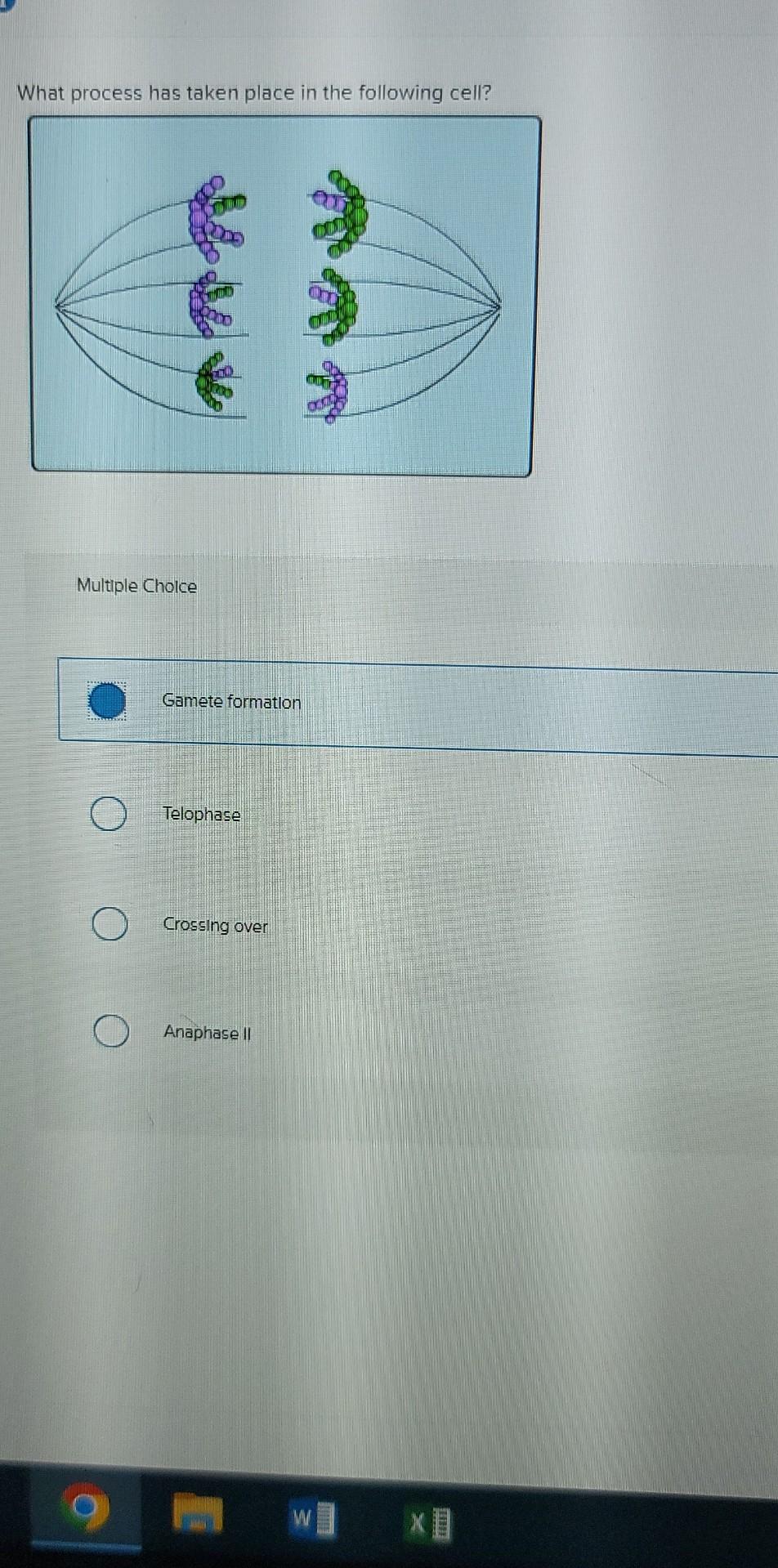 What Process Has Taken Place In The Following Cell Multiple Choice Gamete Formation Telophase Crossing Over Anaphase Ii 1