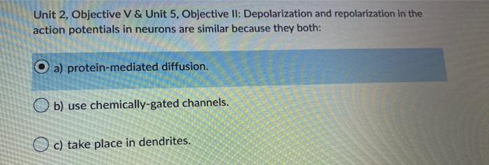 Unit 2 Objective V Unit 5 Objective Ii Depolarization And Repolarization In The Action Potentials In Neurons Are Si 1