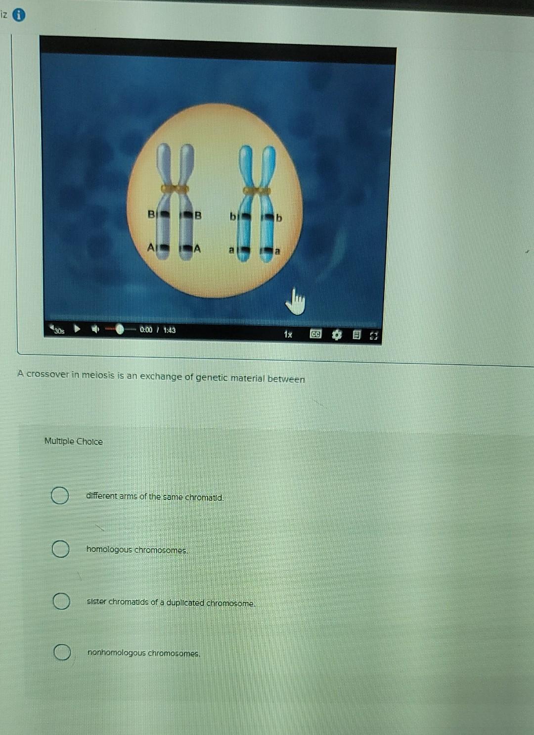 Iz I 30 B Multiple Choice 0 00 1 43 B A Crossover In Meiosis Is An Exchange Of Genetic Material Between Different Arm 1